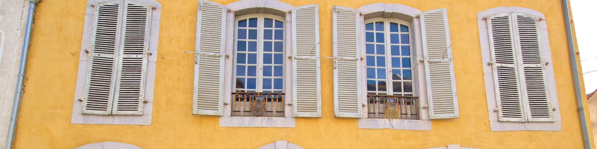 Birthplace of Marechal Foch