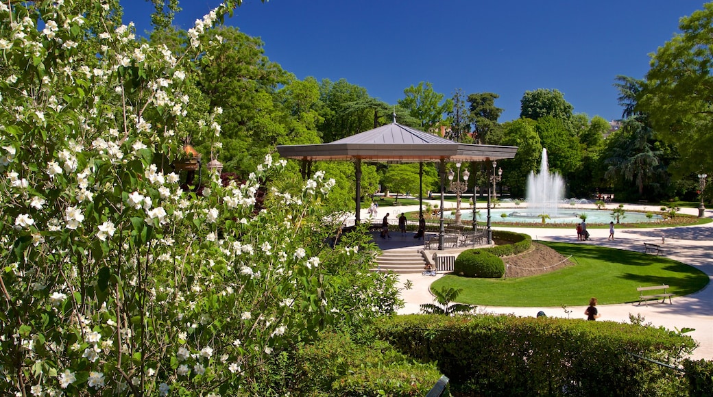 Toulouse caracterizando um parque, uma fonte e flores silvestres