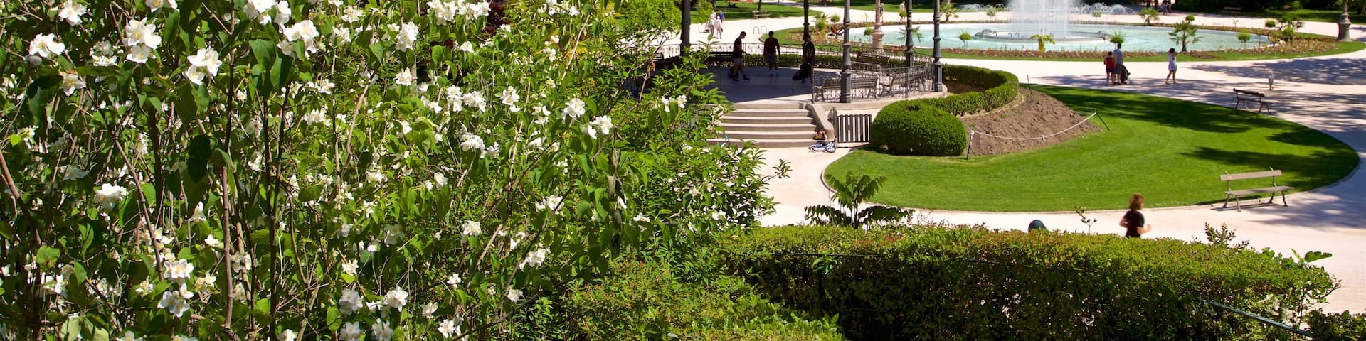 Toulouse montrant fleurs sauvages, jardin et fontaine