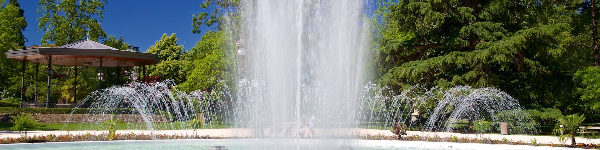 Toulouse showing a fountain
