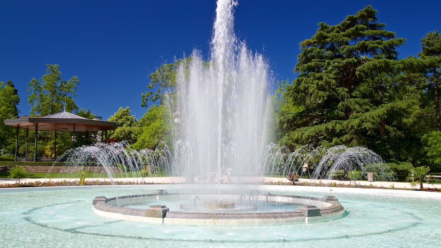 Toulouse featuring a fountain
