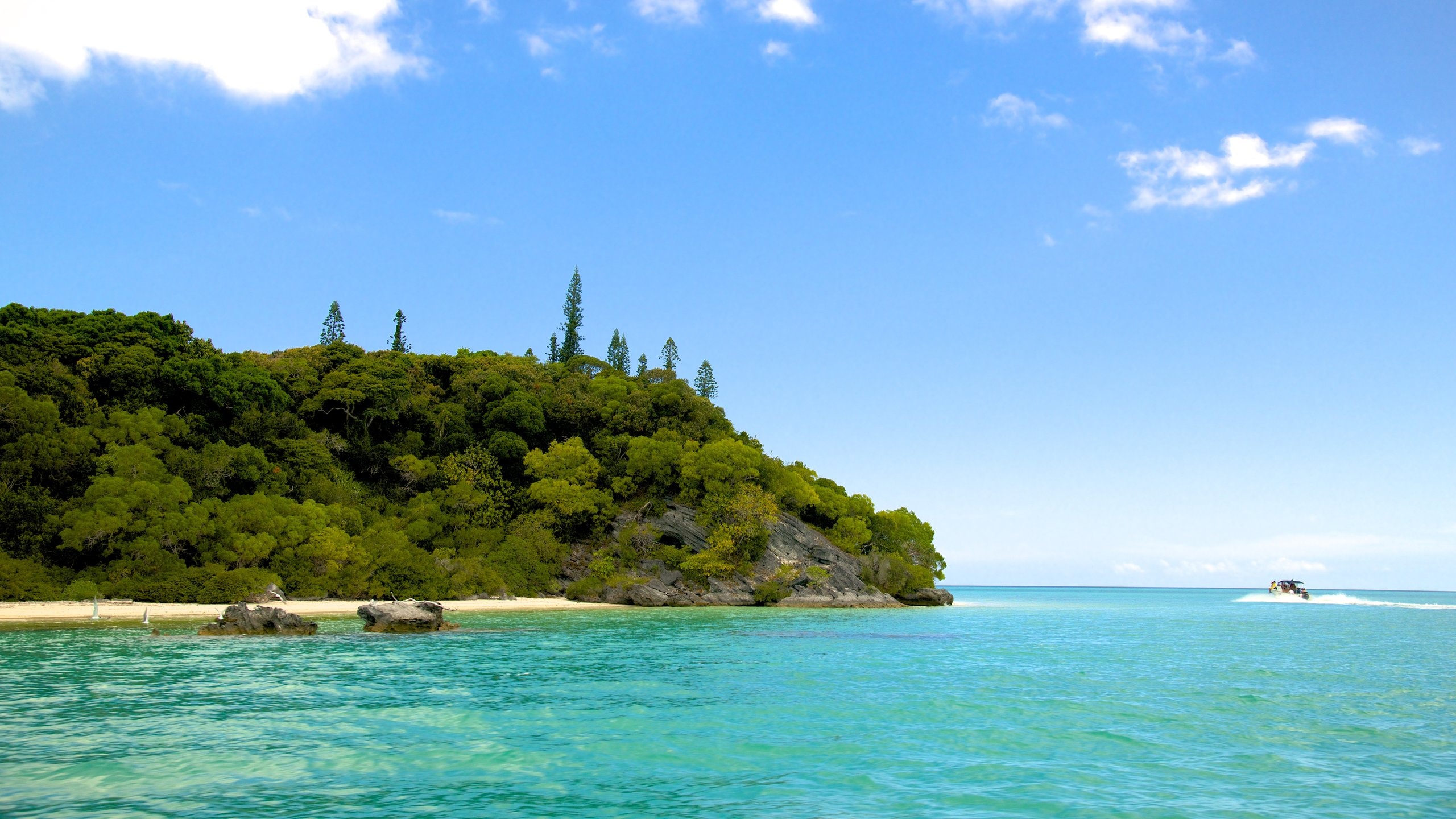 Brush Island, L'ÎledesPins holiday & more Stayz