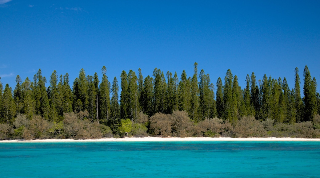 New Caledonia which includes general coastal views