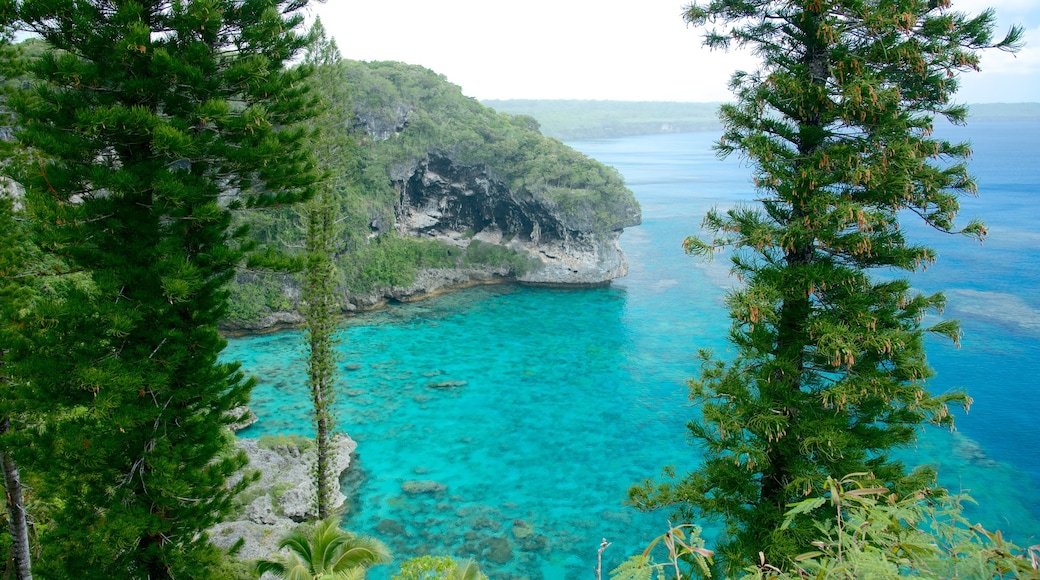 Lifou welches beinhaltet Felsküste und allgemeine Küstenansicht