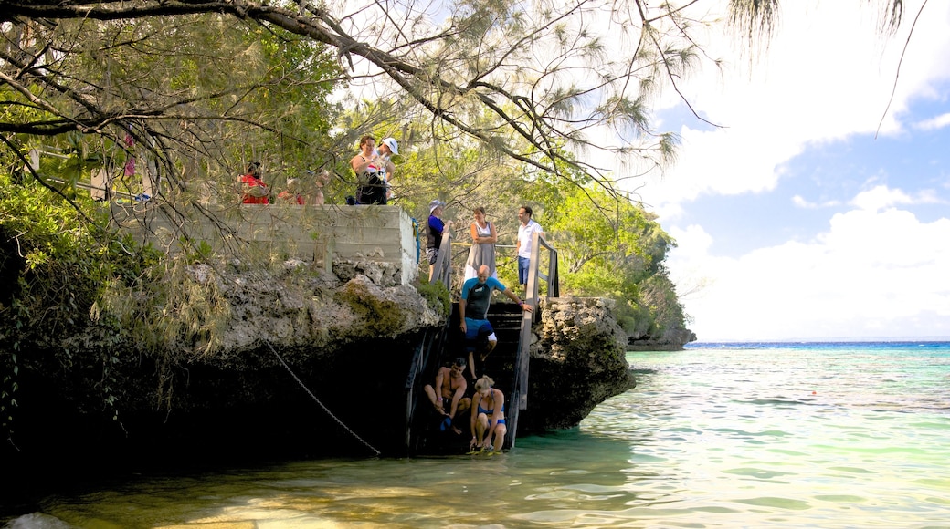 Lifou mostrando vista general a la costa y también un pequeño grupo de personas