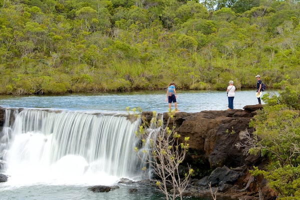 Yaté qui includes riviÚre ou ruisseau aussi bien que petit groupe de personnes
