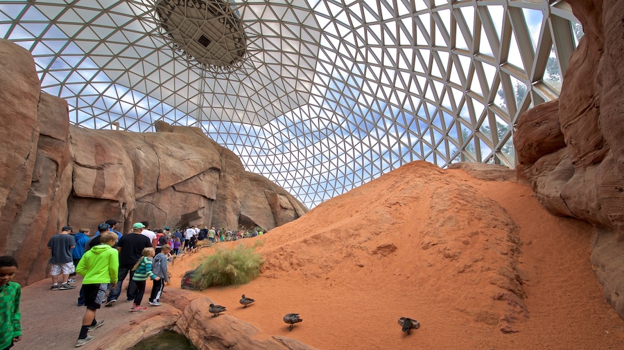 Henry Doorly Zoo das einen Innenansichten und Vögel sowie kleine Menschengruppe
