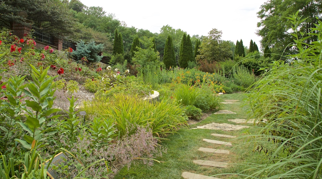 Lauritzen Gardens featuring a park and wild flowers