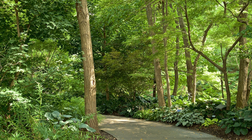 Lauritzen Gardens mostrando um jardim