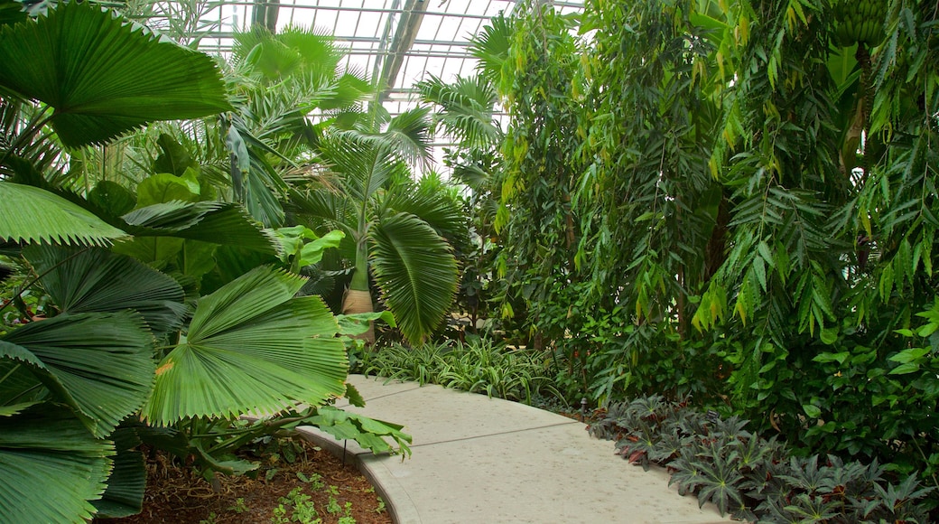 Lauritzen Gardens showing a park