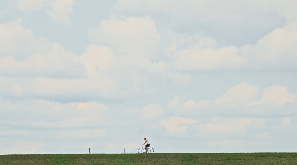 Zorinsky Lake Park which includes cycling, landscape views and a garden