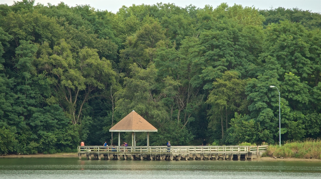 Zorinsky Lake Park che include lago o sorgente d\'acqua