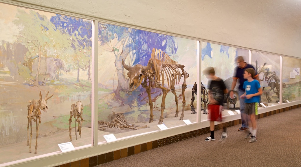 University of Nebraska State Museum showing interior views as well as a family