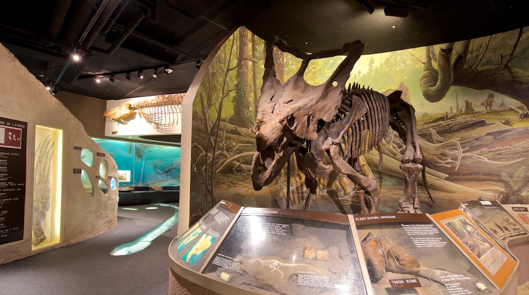 University of Nebraska State Museum featuring interior views