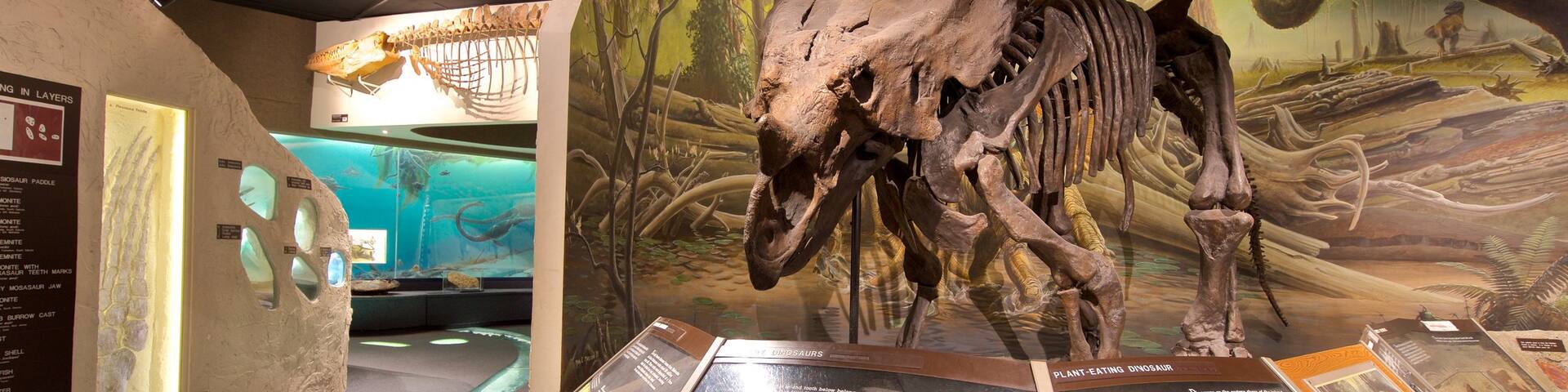 University of Nebraska State Museum showing interior views