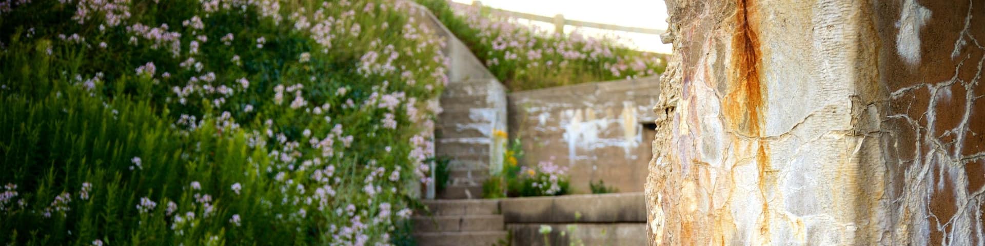Fort Preble mit einem Wildblumen