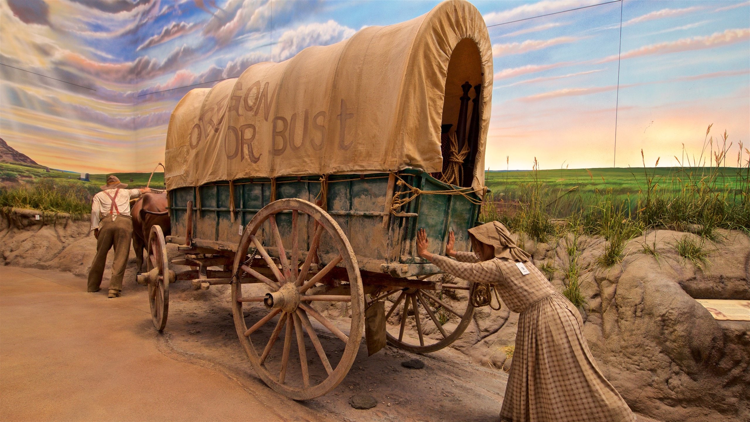 カーニー観光ガイド～定番人気スポットを参考に自分にピッタリの観光プランを立てよう！｜エクスペディア