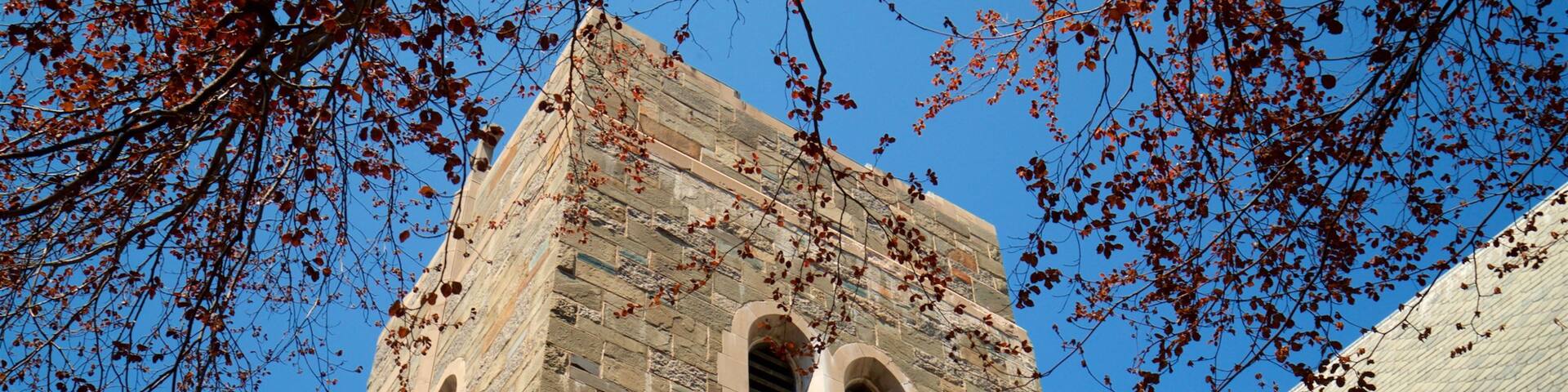 Cathedral Church of Saint Luke showing heritage elements