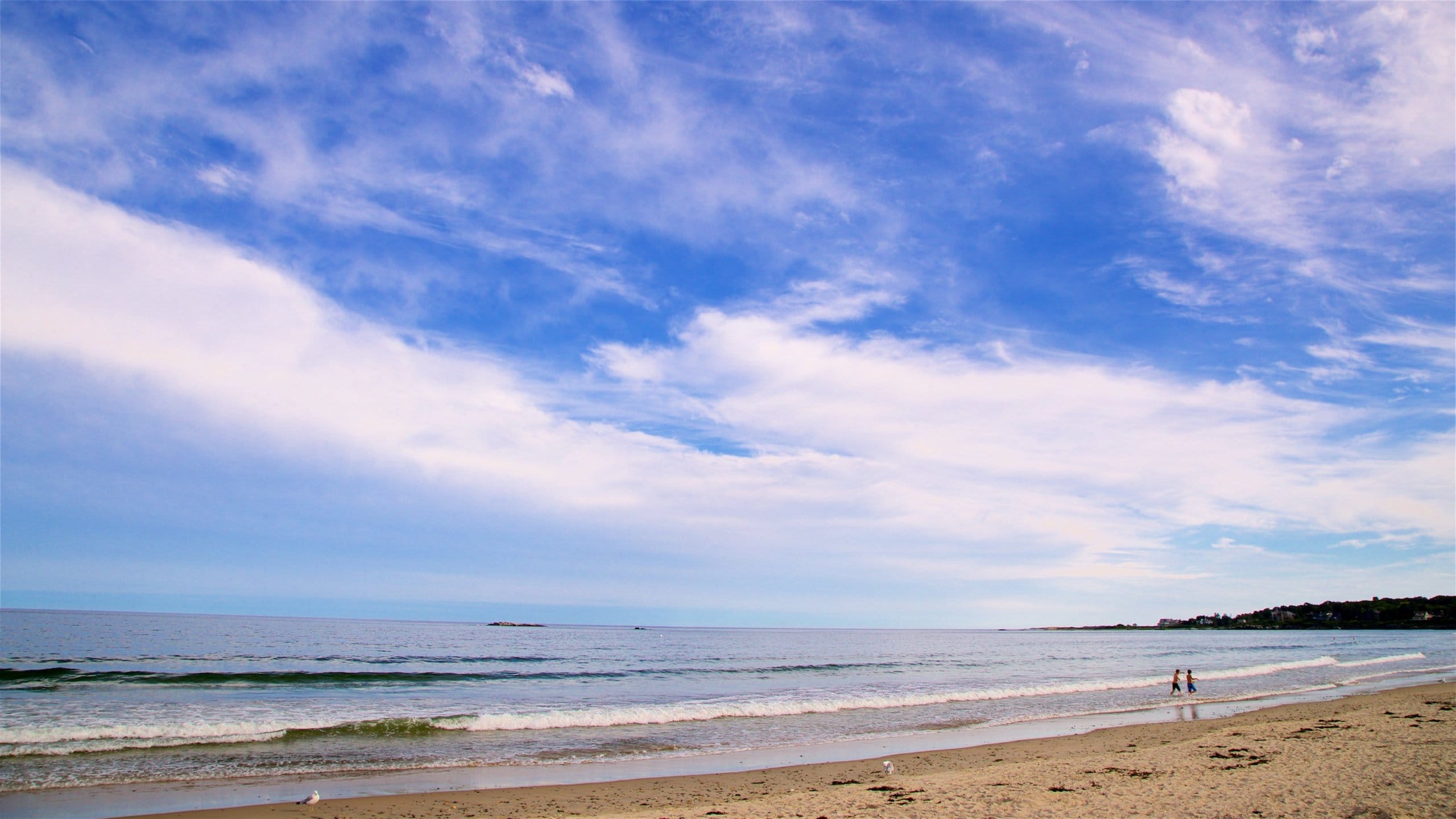 Scarborough Beach State Park showing general coastal views and a beach