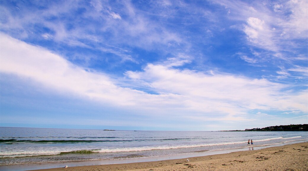 Scarborough Beach State Park som inkluderar kustutsikter och en strand