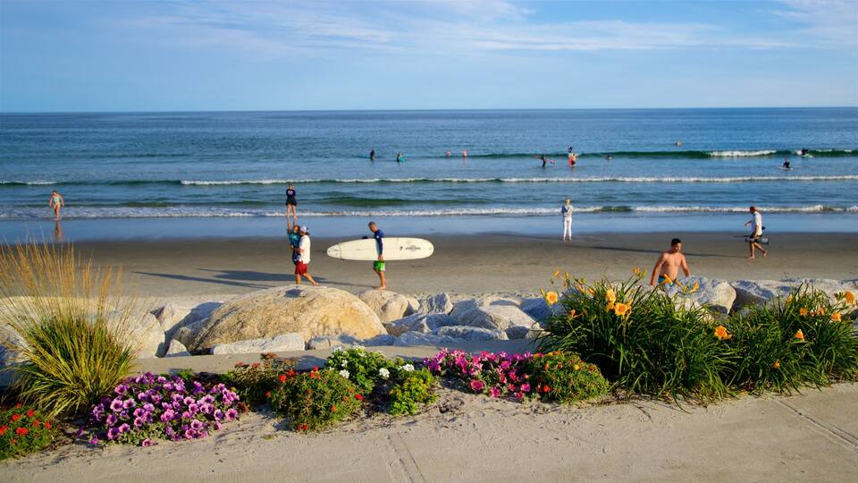 Higgins Beach featuring general coastal views, a beach and wild flowers