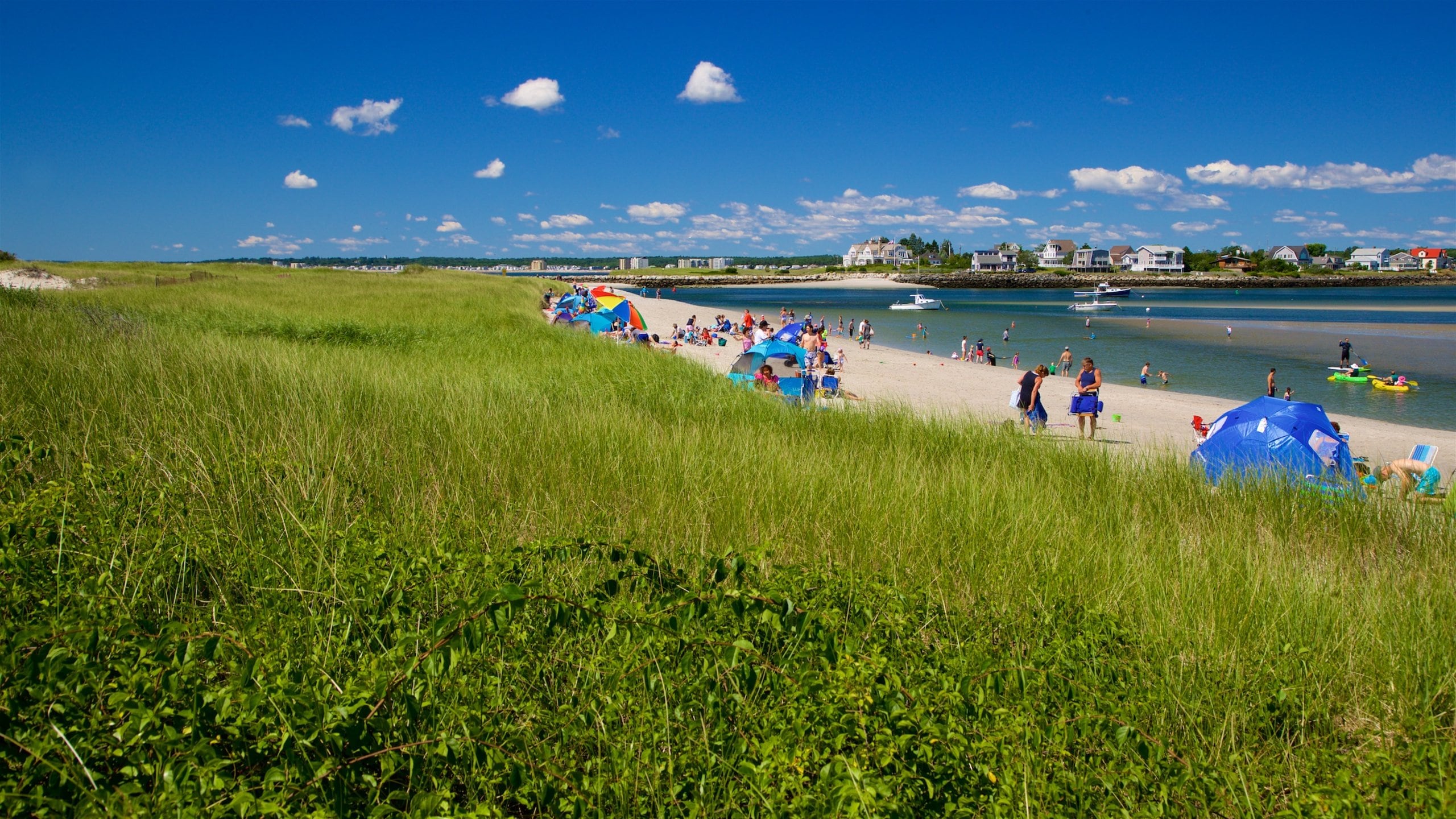 Scarborough featuring a sandy beach and general coastal views as well as a small group of people