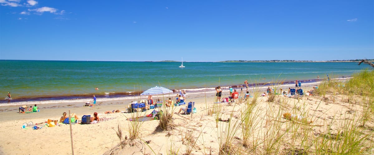 Ferry Beach State Park montrant plage de sable et vues littorales aussi bien que petit groupe de personnes