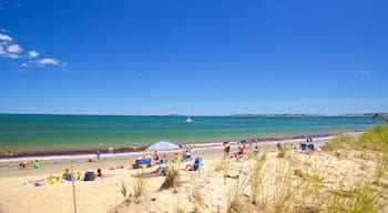 Ferry Beach delstatspark som inkluderer kyst og sandstrand i tillegg til en liten gruppe med mennesker