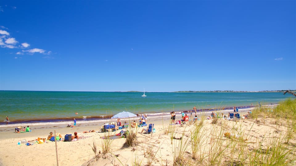 Ferry Beach State Park som visar kustutsikter och en sandstrand såväl som en liten grupp av människor