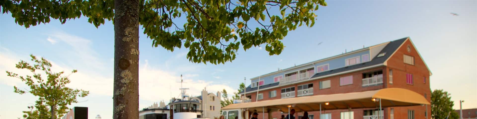 Old Port featuring a bay or harbor and flowers