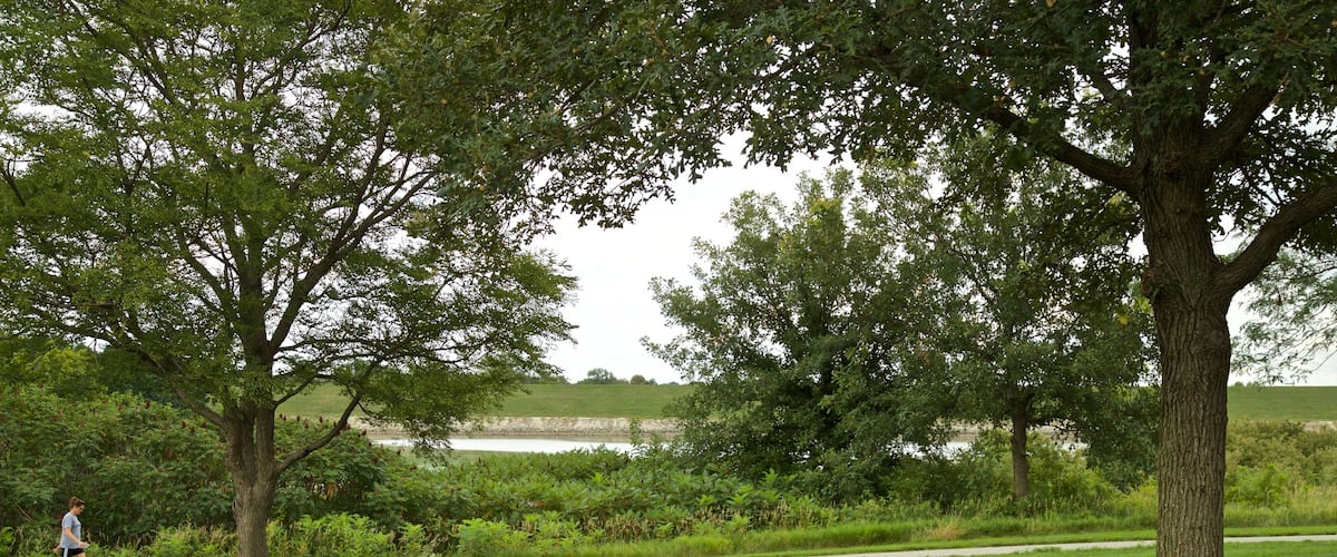 Zorinsky Lake Park showing a park and hiking or walking as well as an individual female