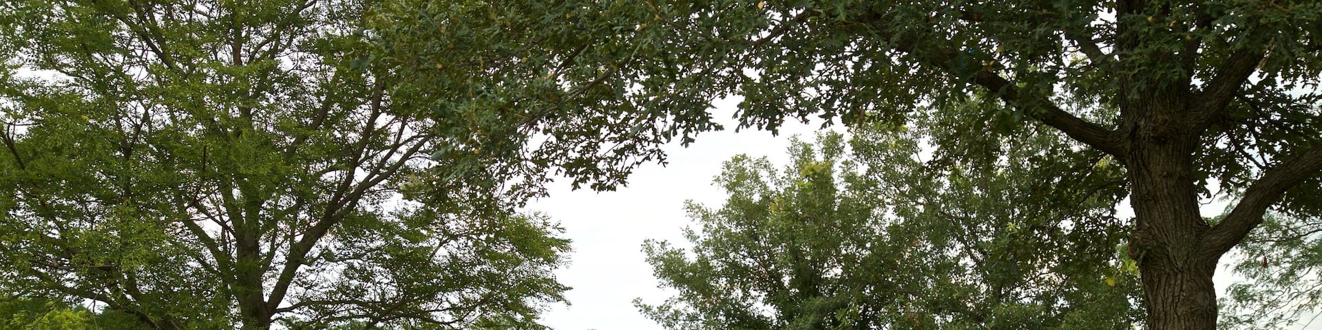 Zorinsky Lake Park featuring hiking or walking and a park as well as an individual femail