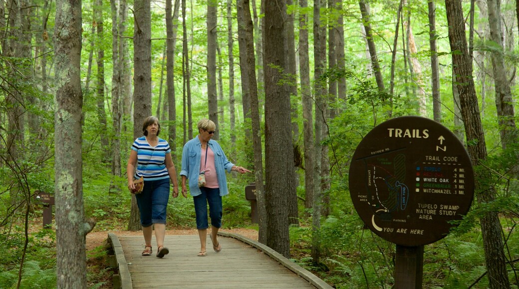 Ferry Beach State Park featuring forest scenes and signage as well as a couple