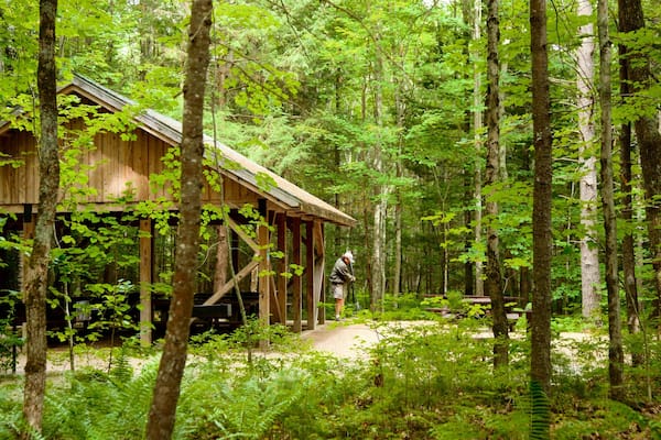 Ferry Beach State Park welches beinhaltet Wälder und Park sowie einzelner Mann