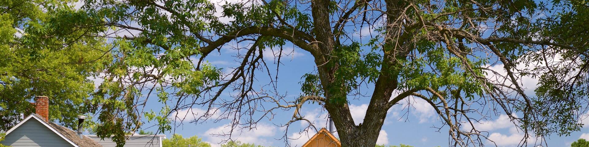 Stuhr Museum of the Prairie Pioneer which includes a house
