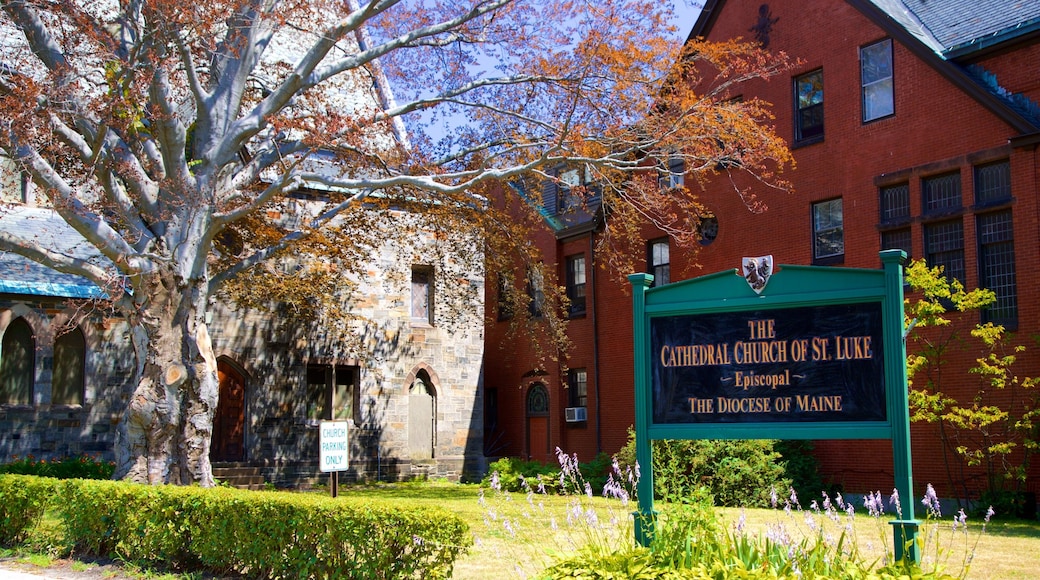 Cathedral Church of Saint Luke showing a church or cathedral and signage