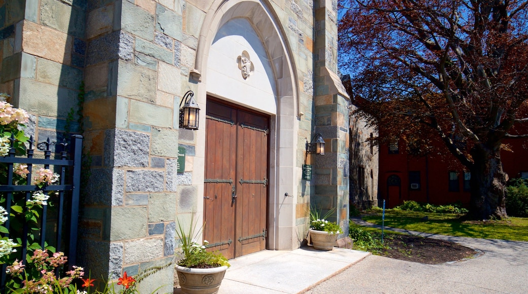 Cathedral Church of Saint Luke showing a church or cathedral