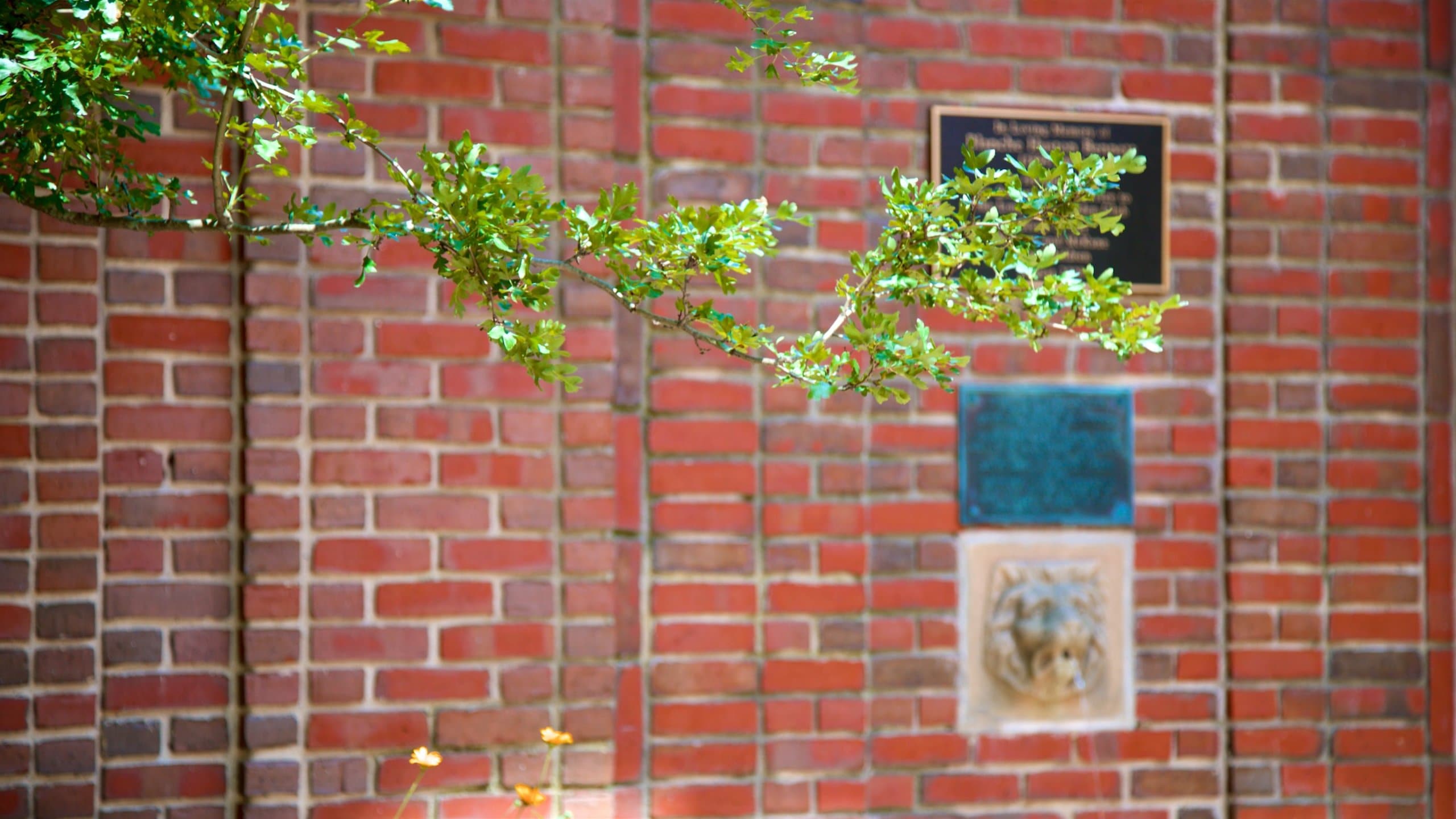 WadsworthLongfellow House Tours Book Now Expedia