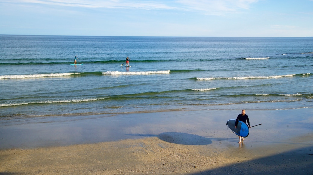 Spiaggia di Higgins mostrando surf e vista della costa cosi come ragazzo