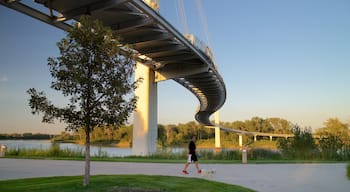 Bob Kerrey Pedestrian Bridge caratteristiche di escursioni o camminate, animali domestici e tramonto