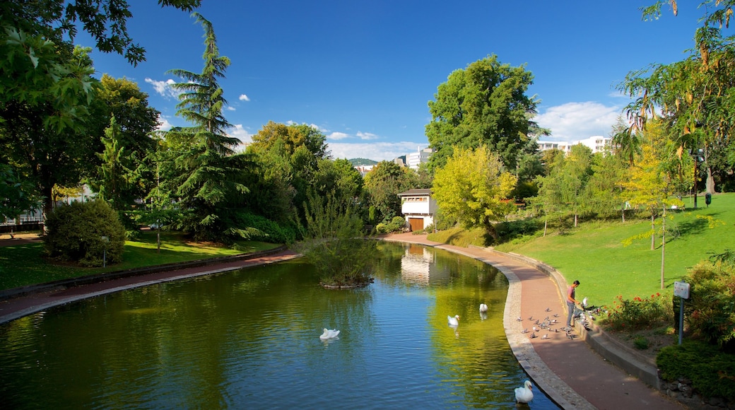 Jardin Lecoq bevat een rivier of beek, een park en vogels