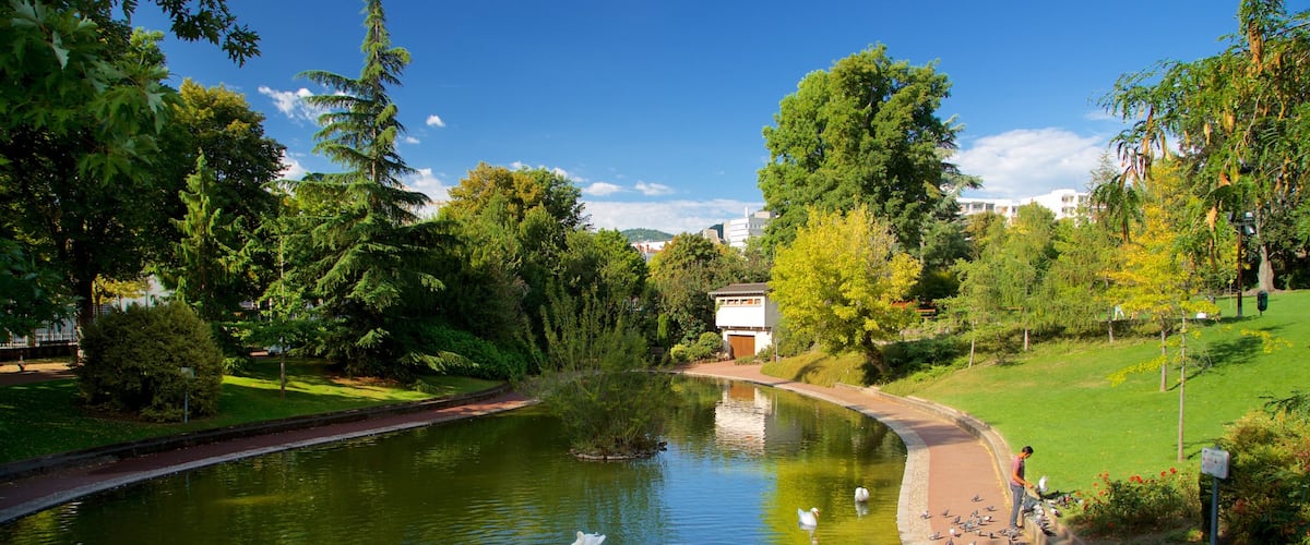 Jardin Lecoq which includes a river or creek, bird life and a garden