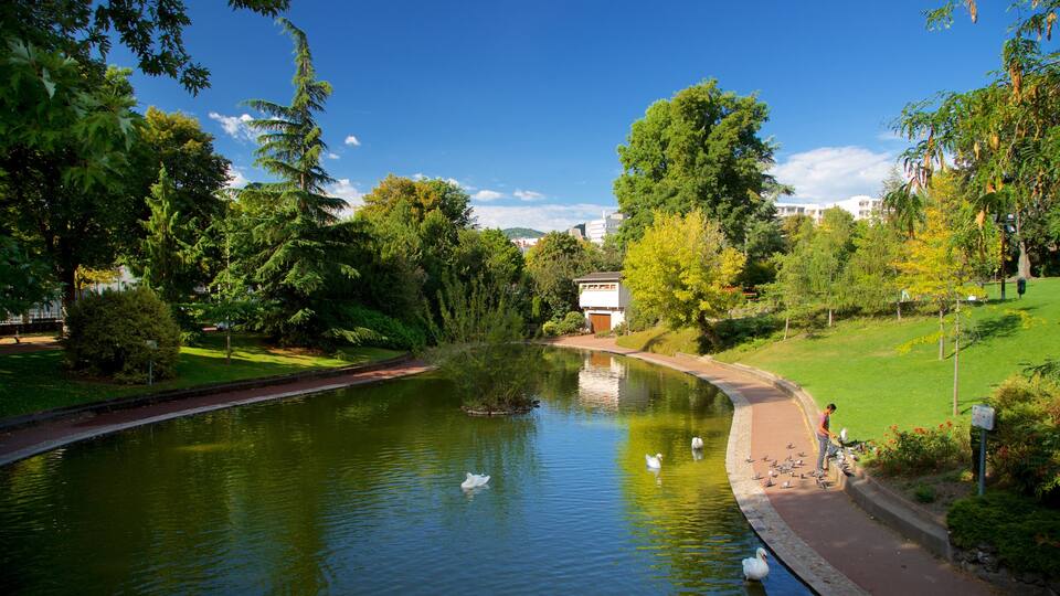 Jardin Lecoq ofreciendo un río o arroyo, jardín y aves