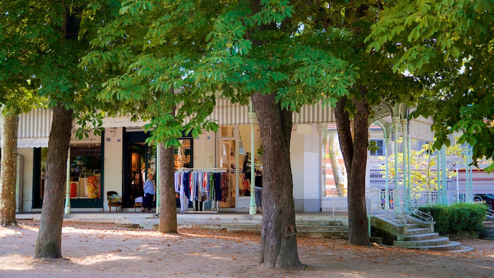 Vichy showing a garden