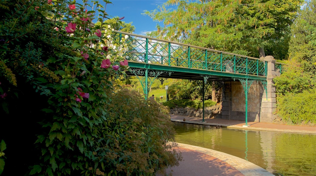 Jardin Lecoq mostrando fiume o ruscello e ponte