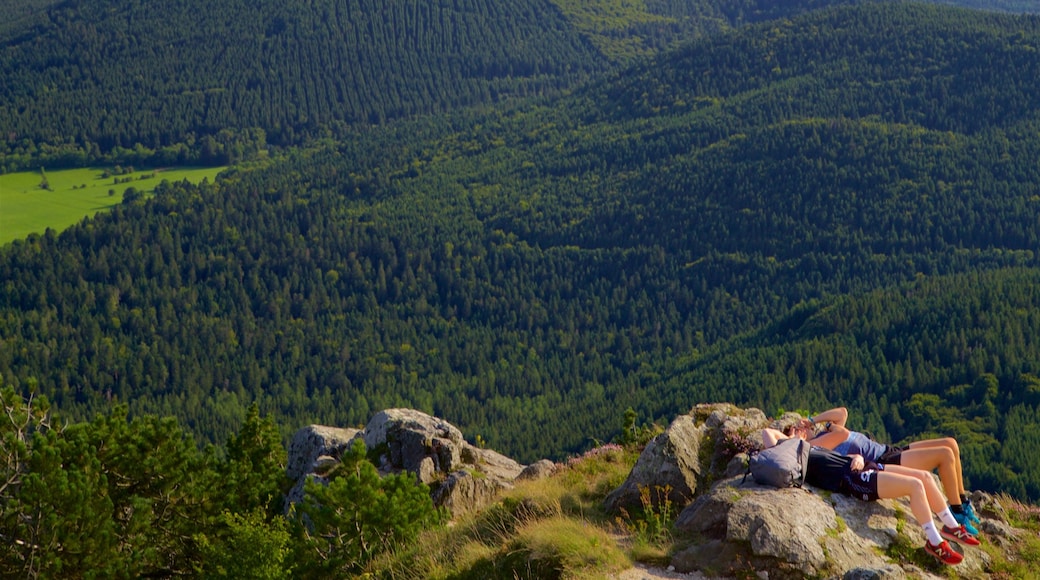 Puy de Dome featuring tranquil scenes and landscape views as well as a couple