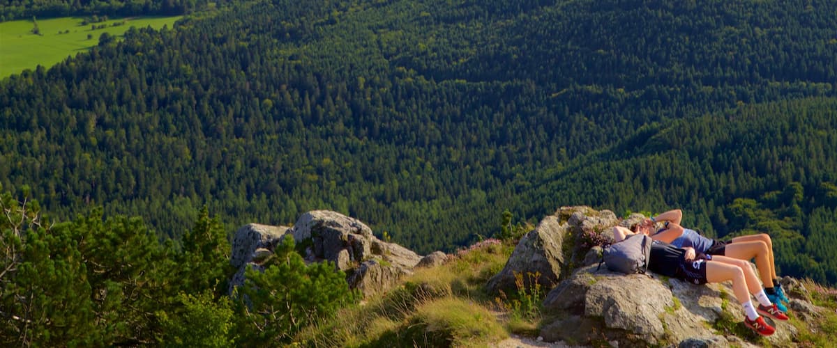 Puy de Dome featuring tranquil scenes and landscape views as well as a couple