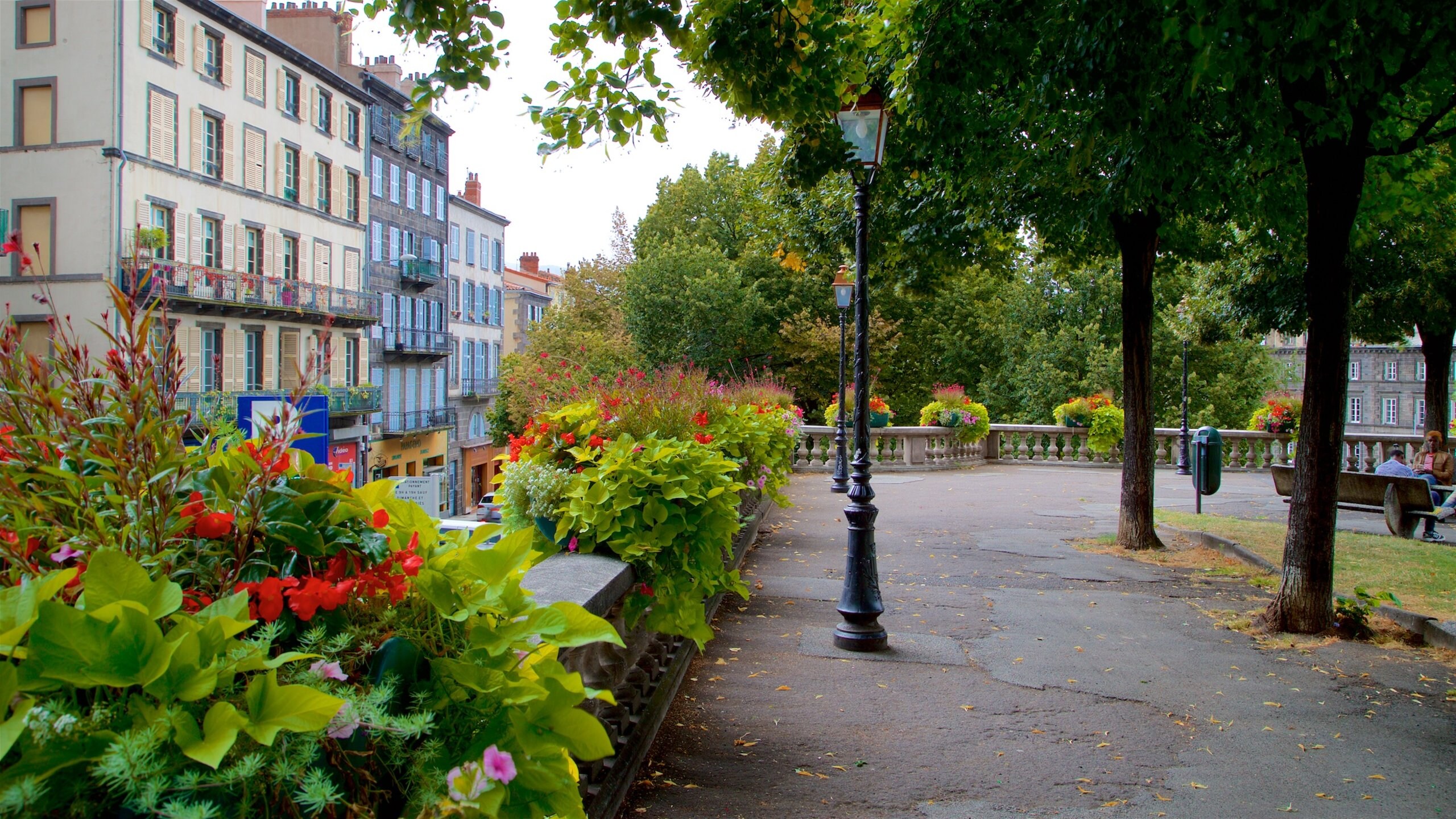 Clermont-Ferrand which includes wildflowers and a park