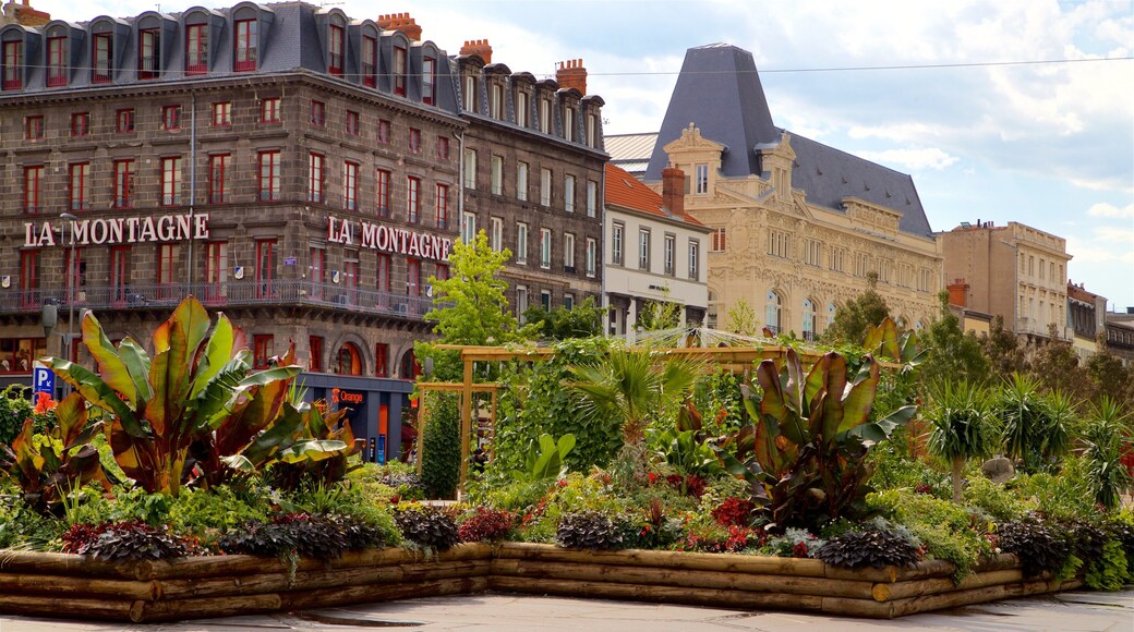 Place de Jaude showing a garden, wild flowers and heritage architecture