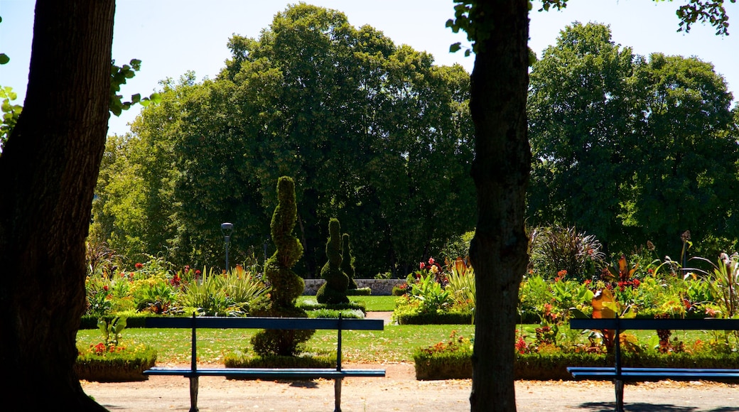 Jardin de l\'Eveche showing wild flowers and a park